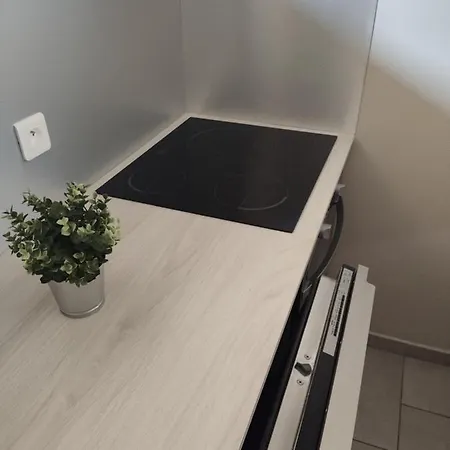Du Parc Des Thermes Apartment